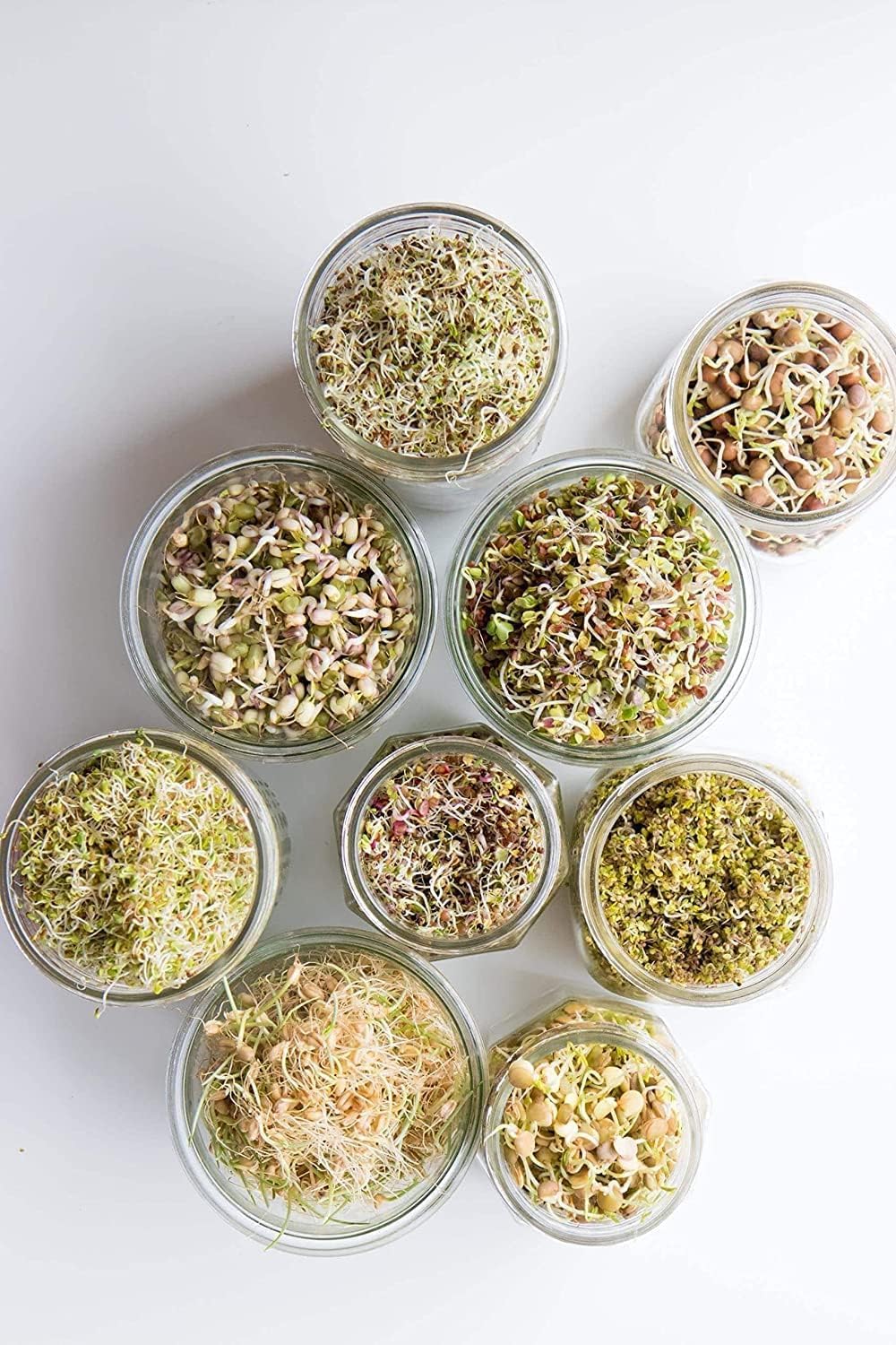 Wazdorf Sprout Maker - Plastic Grocery Container Sprouted Grains Seeds Dal Channa Chole Ragi Organic Sprouting Jar, For Sprouted